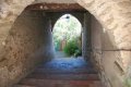 Bormes les mimosas